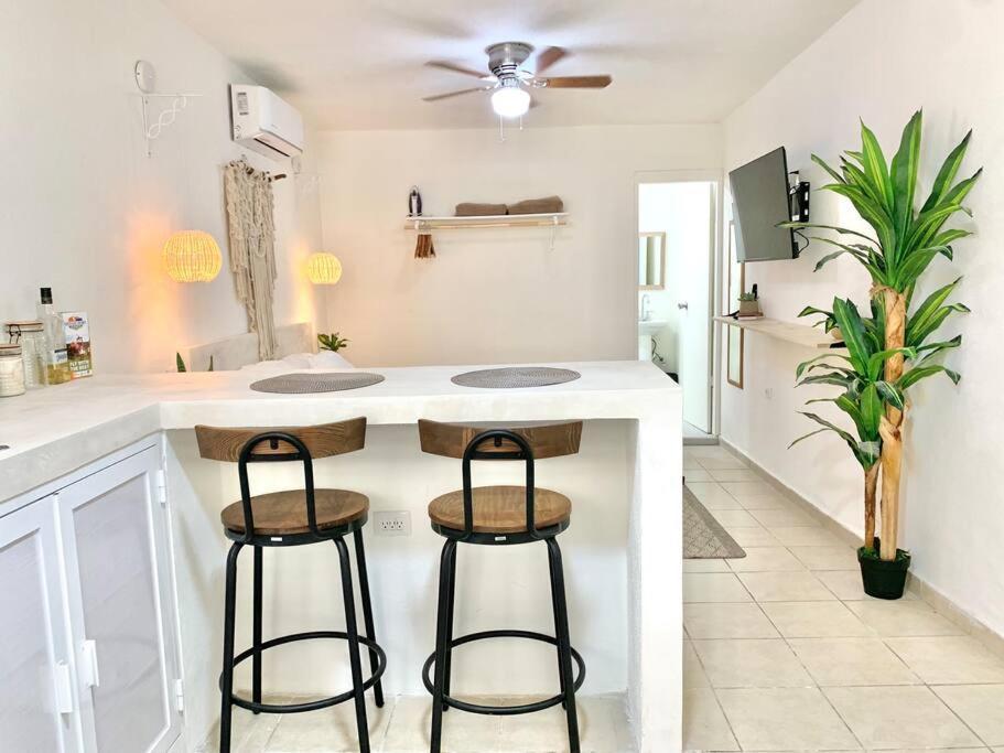 Apartament Casa Anuiti Centrica Ubicacion. San José del Cabo Zewnętrze zdjęcie