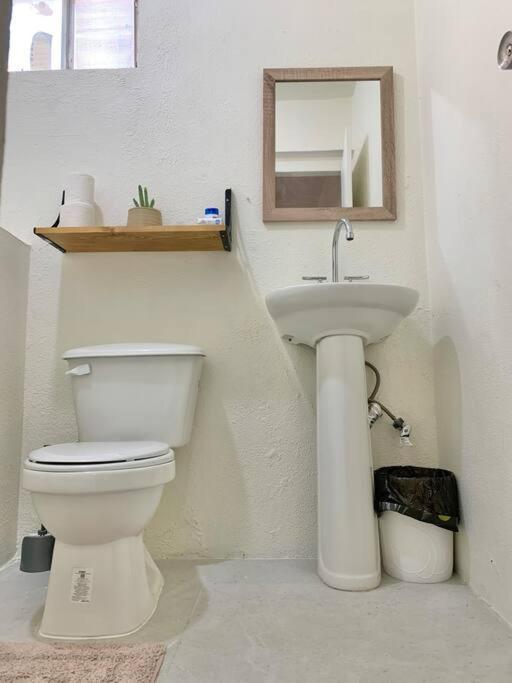 Apartament Casa Anuiti Centrica Ubicacion. San José del Cabo Zewnętrze zdjęcie
