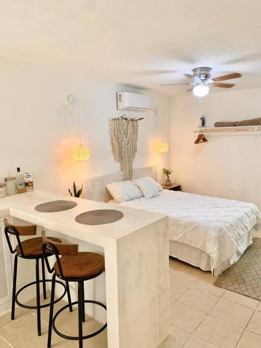 Apartament Casa Anuiti Centrica Ubicacion. San José del Cabo Zewnętrze zdjęcie