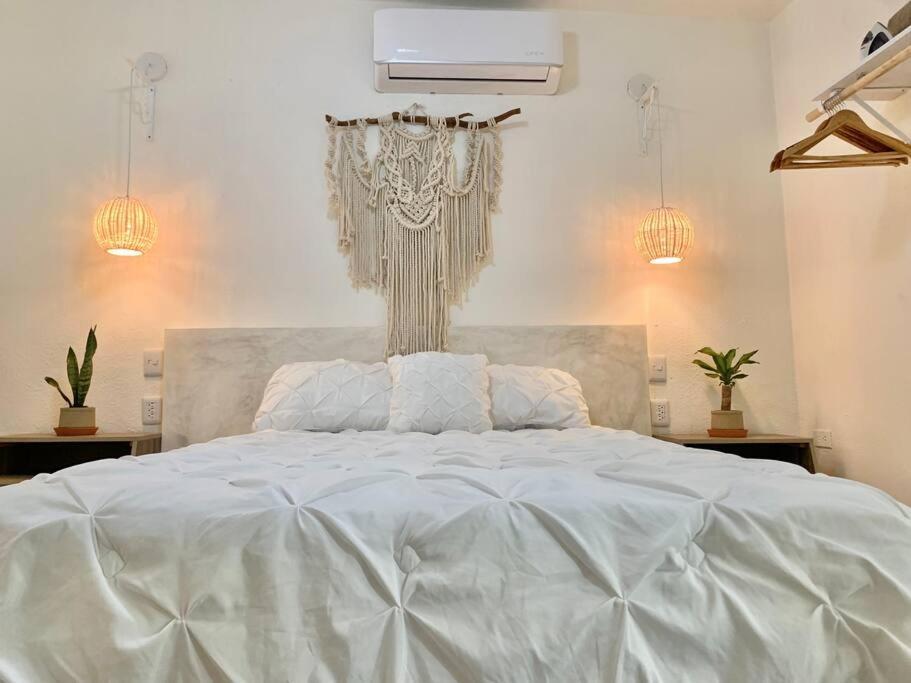 Apartament Casa Anuiti Centrica Ubicacion. San José del Cabo Zewnętrze zdjęcie