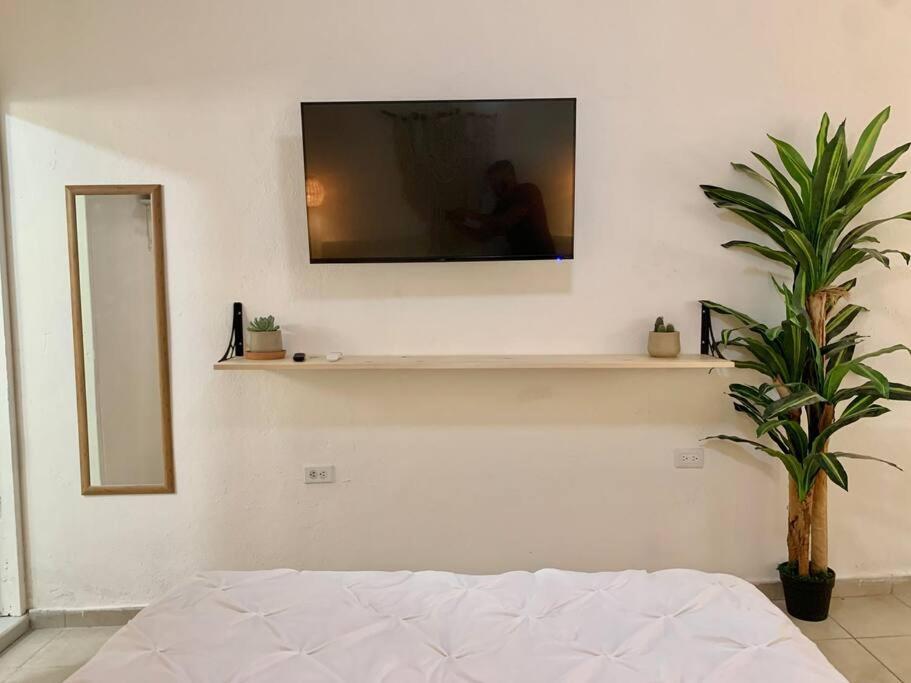 Apartament Casa Anuiti Centrica Ubicacion. San José del Cabo Zewnętrze zdjęcie